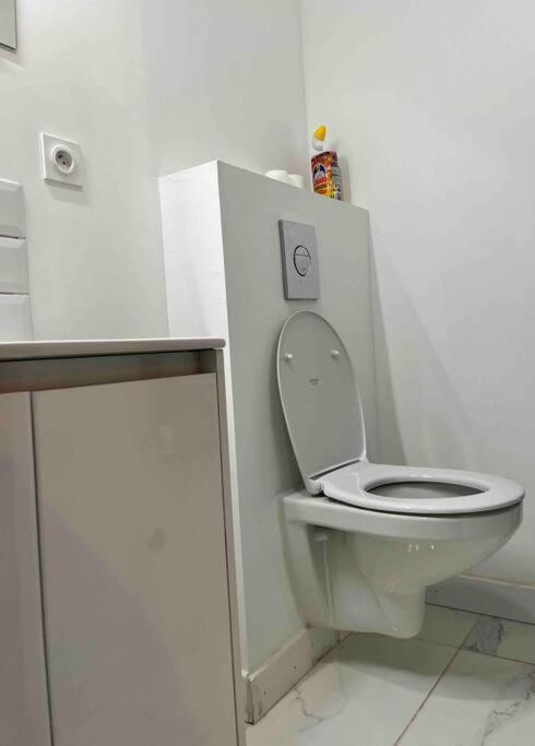 2 Room Flat Тулуза Екстериор снимка